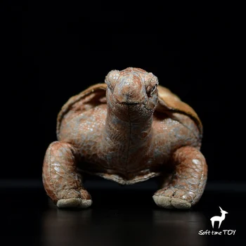 cadou jucărie Galapagos broască țestoasă de simulare broască țestoasă papusa